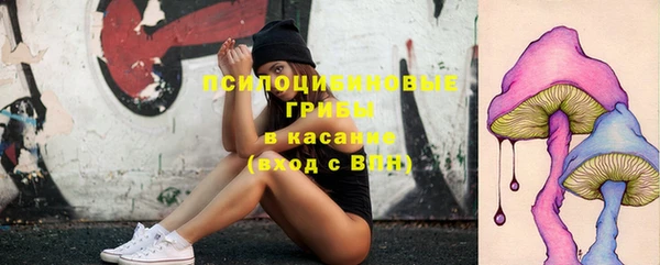 дмт Беломорск
