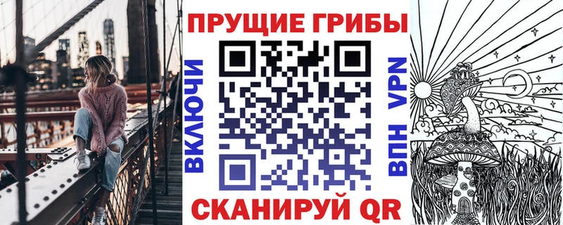 Псилоцибиновые грибы Psilocybe  kraken сайт  Шарыпово 